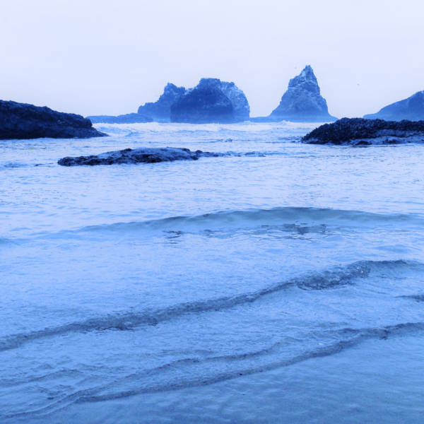 Arctic Ocean