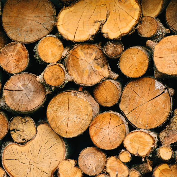 Teak Wood